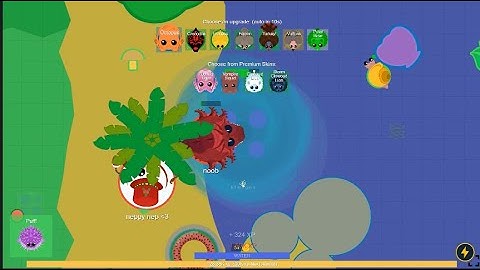 ZEBRA KILLS BLACK DRAGON!//EPIC TROLLING IN MOPE IO!