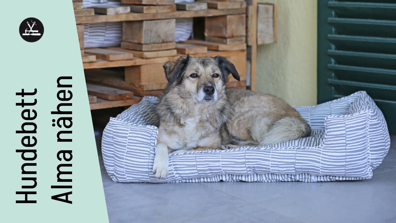 hundefutter mit rind Trockenfutter fr Hunde mit Rind