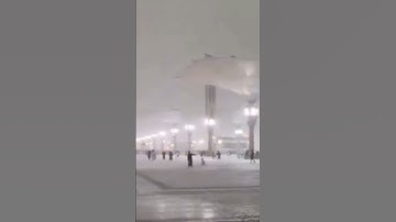 #المدينة_المنورة #رمضان #تلاوة_خاشعة #اكسبلور #هاشتاق #ترند