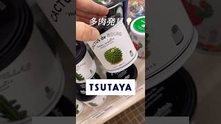 【多肉植物】TSUTAYAでかわいいサボテン育成キット見つけた！今すぐTSUTAYAへGO！
