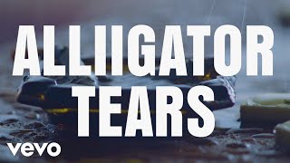 Watch Beyonce Alliigator Tears video