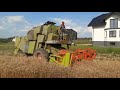 Żniwa 2020 Claas Mercator 70