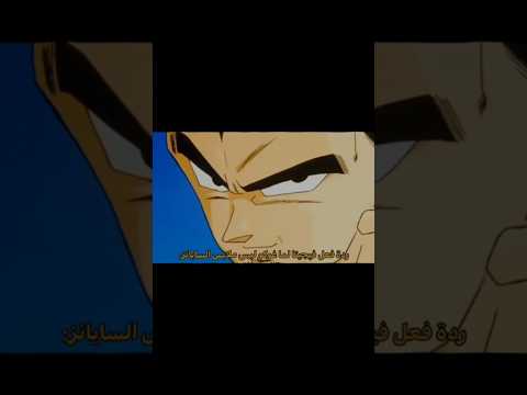 ردة فعل فيجيتا لما غوغو لبس ملابس السيانز Anime Edit Explore Goku Music Dragonball Reels
