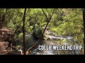 Collie Weekend Trip