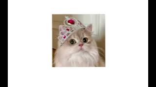 Freeedie - peligrosa ( speed up ) 💗