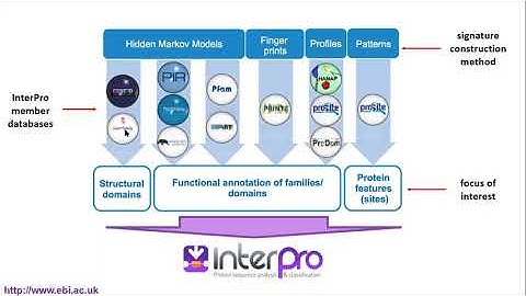 Interpro 1