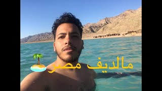 مكنتش متوقع البلو لاجون كدة! | a Day Morning at Blue Lagoon Sinai Egypt