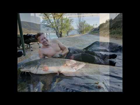 Video: Monnipyynti (makean Veden Jättiläinen - 2)