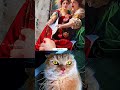 Try Not to Laugh Challenge 473 #cat #funny #viral #reaction