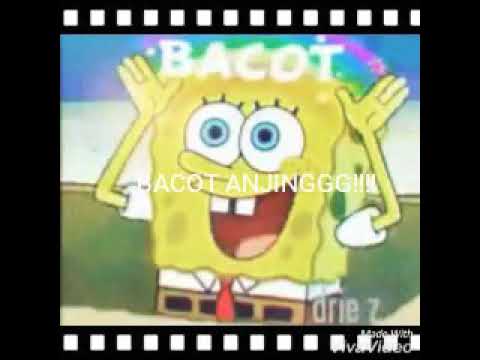  Spongebob  BACOT  YouTube