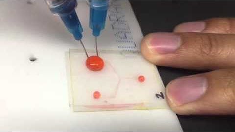 Pneumatic Valve Microfluidic Testing