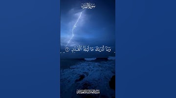 سورة القدر بصوت يبكي القلوب–ليلة تتغيّر فيها الأقدار! #سورة_القدر #مشاري_العفاسي  #SurahAlQadr