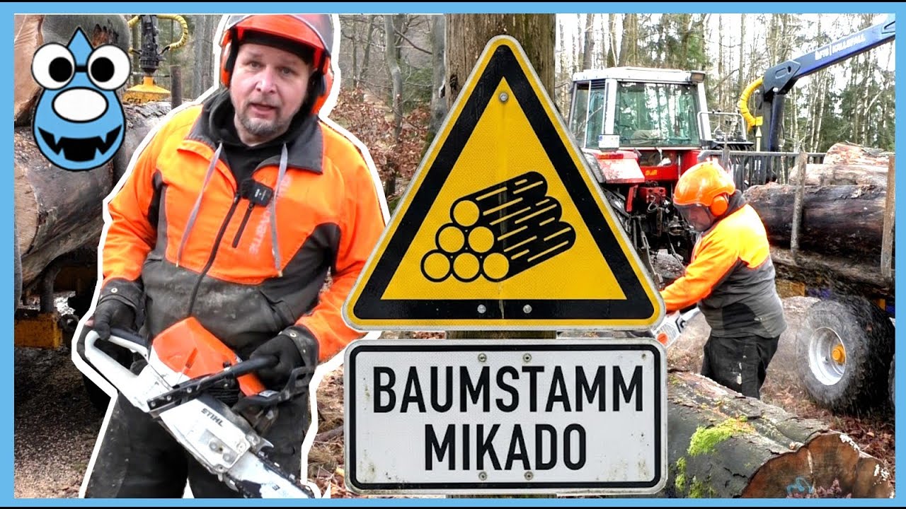 🌲 Baumstamm-Mikado & Umgewöhnung: Der neue Rückewagen im (2.) Einsatz!