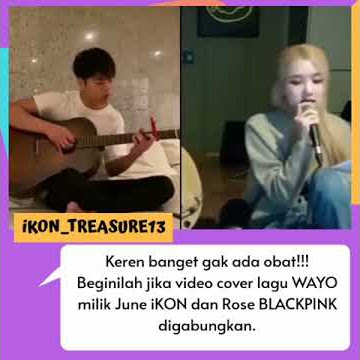 June rose cover wayo