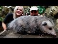 Cute or Not? Playing Opossum