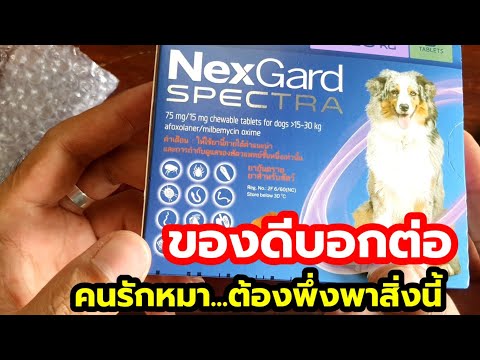 รีวิว Nexgard Spectra ยาสำหรับน้องหมา เม็ดเดียวเอาอยู่ทั้งเห็บหมัดและพยาธิลำไส้