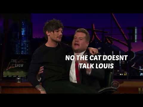 one direction being idiots for 3 minutes and 16 seconds straight
