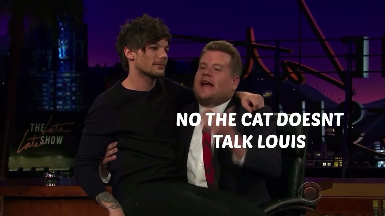 one direction being idiots for 3 minutes and 16 seconds straight