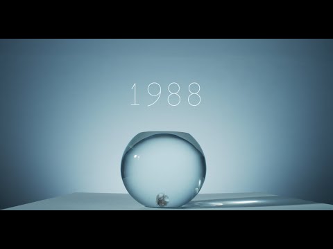 SAKANAMON「1988 feat.たかはしほのか(リーガルリリー)」MV