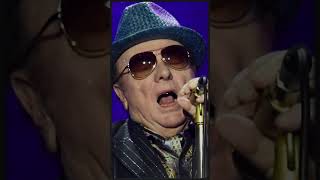 Celebrity Bruce Springsteen Finally SPEAKS OUT About Van Morrison Wealth