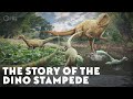 The Story of the Dino Stampede