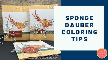 Sponge Dauber Coloring Tips using the Painted Pheasant Stamp Set