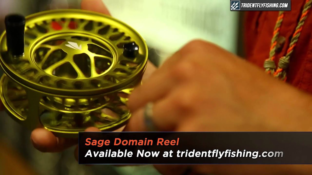 Sage Domain Reel Review 