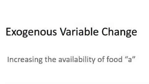 Rachael Benson: Microeconomics Obesity Model