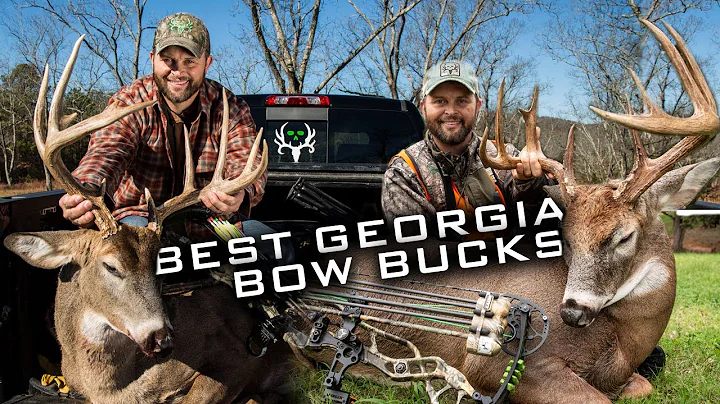 Waddell's Top 3 Georgia Bow Bucks! Best of Bone Co...