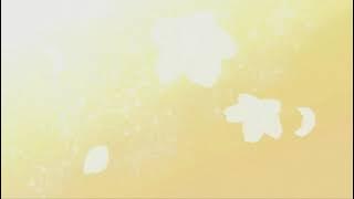 Resolution (Extended)