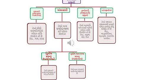 Science Chapter 15 આપણું પર્યાવરણ Lecture 1 Gujarati Medium