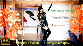 Gokuraku Jodo - Ойран И Канарейка (Цвету С Тобой Сегодня Вечером)