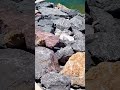 موسيقى هاذئة مع أمواج البحر بالرباط موسيقى هاذئة مع أمواج البحر بالرباط