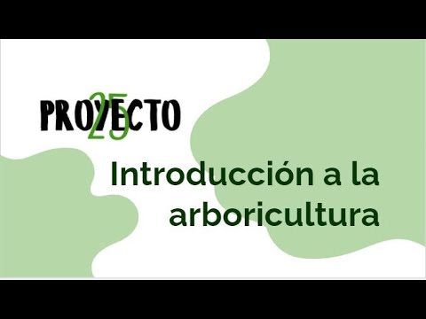 Video: ¿Cómo convertirse en un consultor de arboricultura?