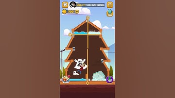 Home Pin Level 371 Gameplay Walkthrough