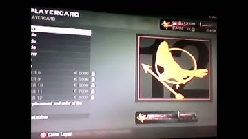 Black Ops Emblem-Mockingjay
