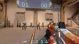 HOW TO HAVE YOUR PRIMARY CROSSHAIR AS YOUR SHOTGUN CROSSHAIR IN VALORANT