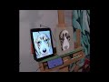 Who's a Good Boy? Mr Gast Arts Canvas