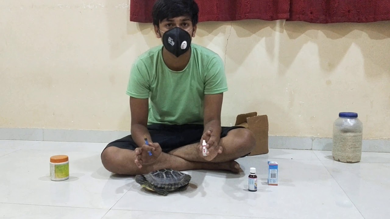 Turtle eyes swollen/ cloudy / eyes not opening/ turtle not eating food