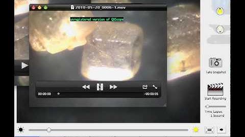 QXScope USB Microscopes.mp4