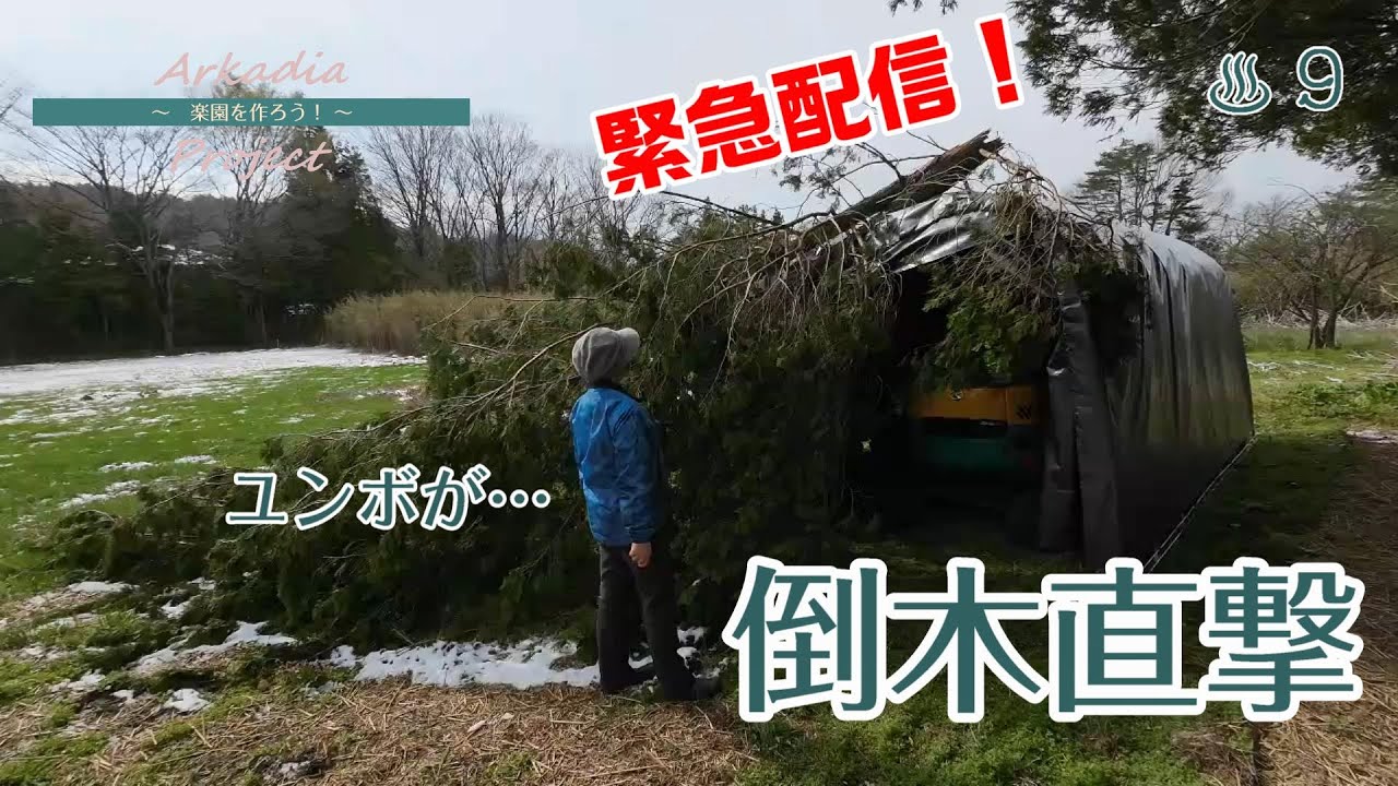 ユンボが大変！？　予想外の事故で開拓作業中断【移住に向けて開拓中】