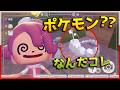 ポケモン完全初心者が謎のコレを発見する【ぽこあポケモン実況 #2】