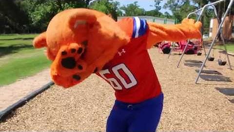 HPL Summer Reading Program 2016