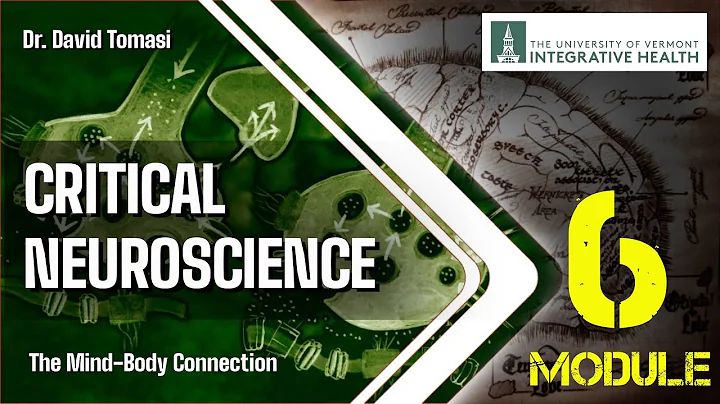 Week 6: Between Psyche and Mind / Part 2  (Critical Neuroscience)