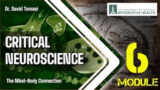 Week 6: Between Psyche and Mind / Part 2  (Critical Neuroscience)