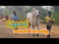 Legend rk gari junior bull vetapalem