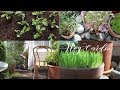 Vlog/ 마음의 휴식처, 나만의 정원 만들기/ 베란다 정원 가꾸기/Balcony garden for me