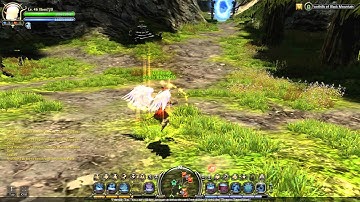 DN Mod Test - Flare Drake Skills