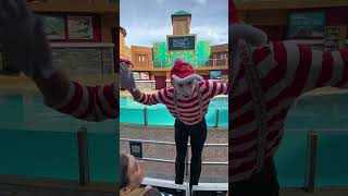 The Mime stole my phone at Sea World!