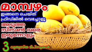 ഇങ്ങനെ ചെയ്താൽ മാമ്പഴം ഫ്രിഡ്ജിൽ കാലങ്ങളോളം ഇരിയ്ക്കും | How to store Mangoes for long tim